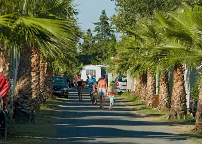 Mobilhome 6 Personnes Kemping Saint-Cyprien (Pyrenees-Orientales)